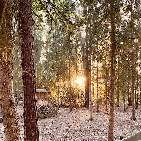 Eco-luxury Tiny House I Digital Detox I Badesee Сasa de vacaciones