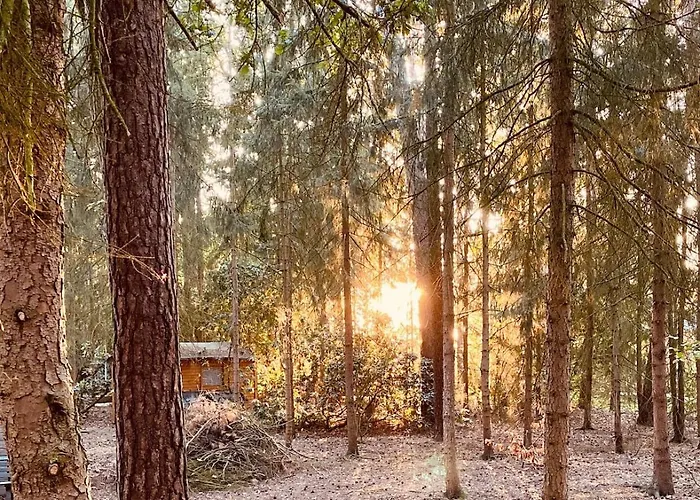 Eco-luxury Tiny House I Digital Detox I Badesee Feriehus